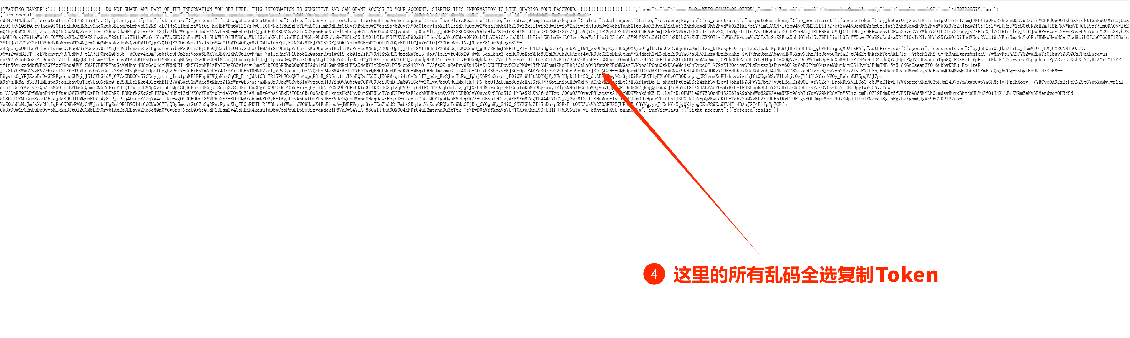 第三步：复制完整 Token